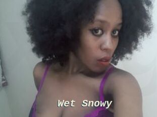 Wet_Snowy