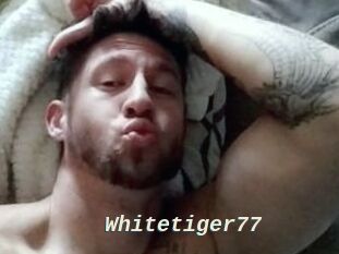 Whitetiger77