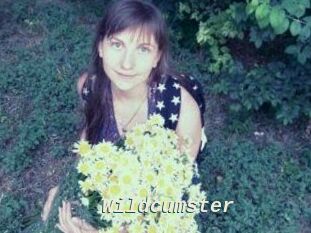 Wildcumster