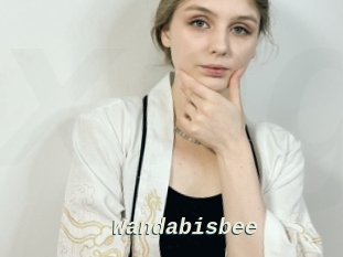 Wandabisbee