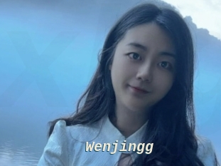 Wenjingg