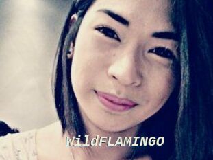 WildFLAMINGO