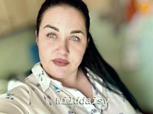 Wilddaisy