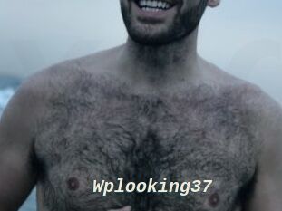 Wplooking37