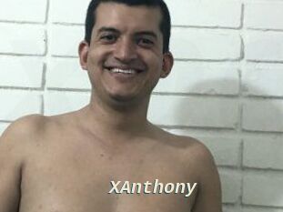 XAnthony