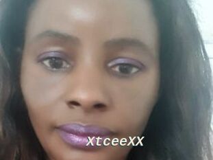 XtceeXX