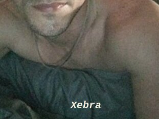 Xebra