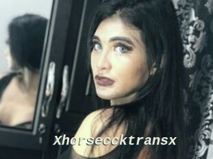 Xhorseccktransx