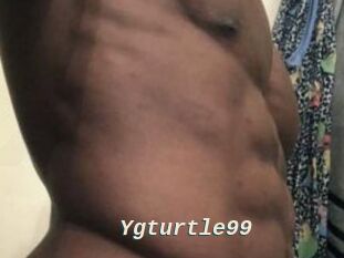 Ygturtle99