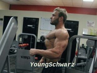 YoungSchwarz