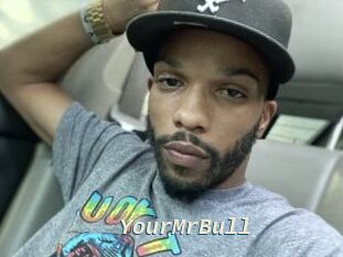 YourMrBull