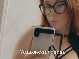 Yellowcatredcat