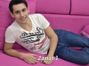 Zaniel
