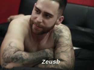 Zeusb