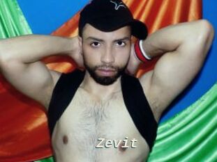 Zevit